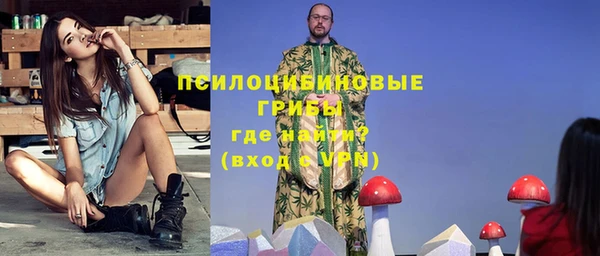 сатива Алексеевка
