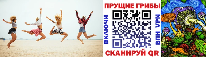 гидра маркетплейс  нарко площадка наркотические препараты  Артём  Псилоцибиновые грибы Psilocybe  цены  