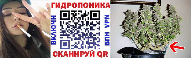 как найти   Артём  Шишки марихуана марихуана 